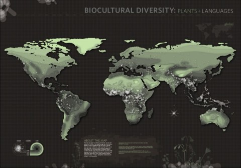 GLOB_plants_IMG-1024x715