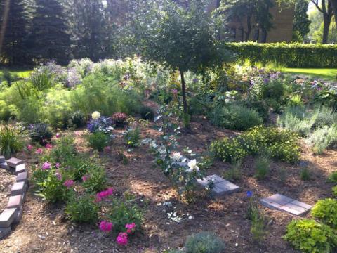 westmount-20110912-00591-copy